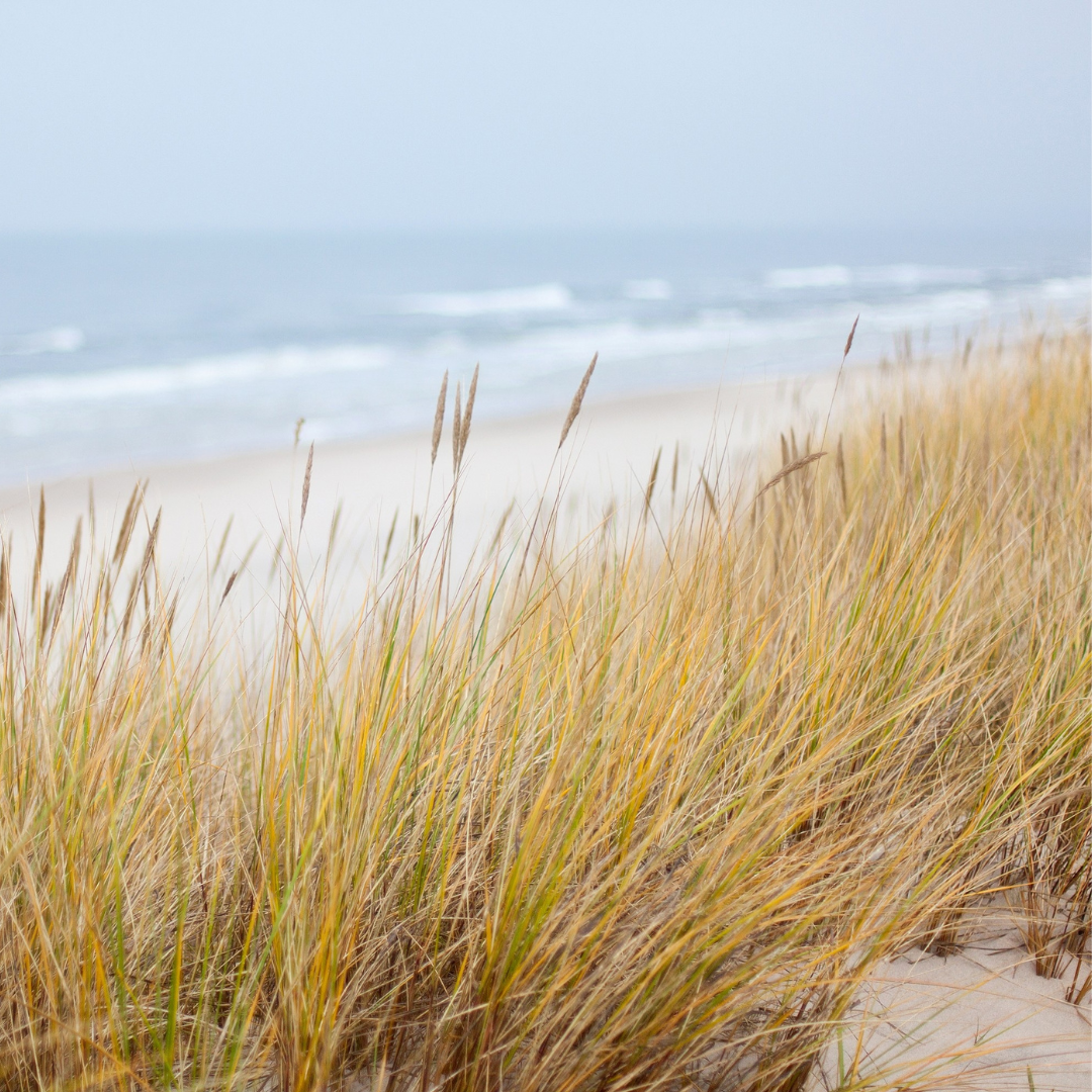 coastal collection