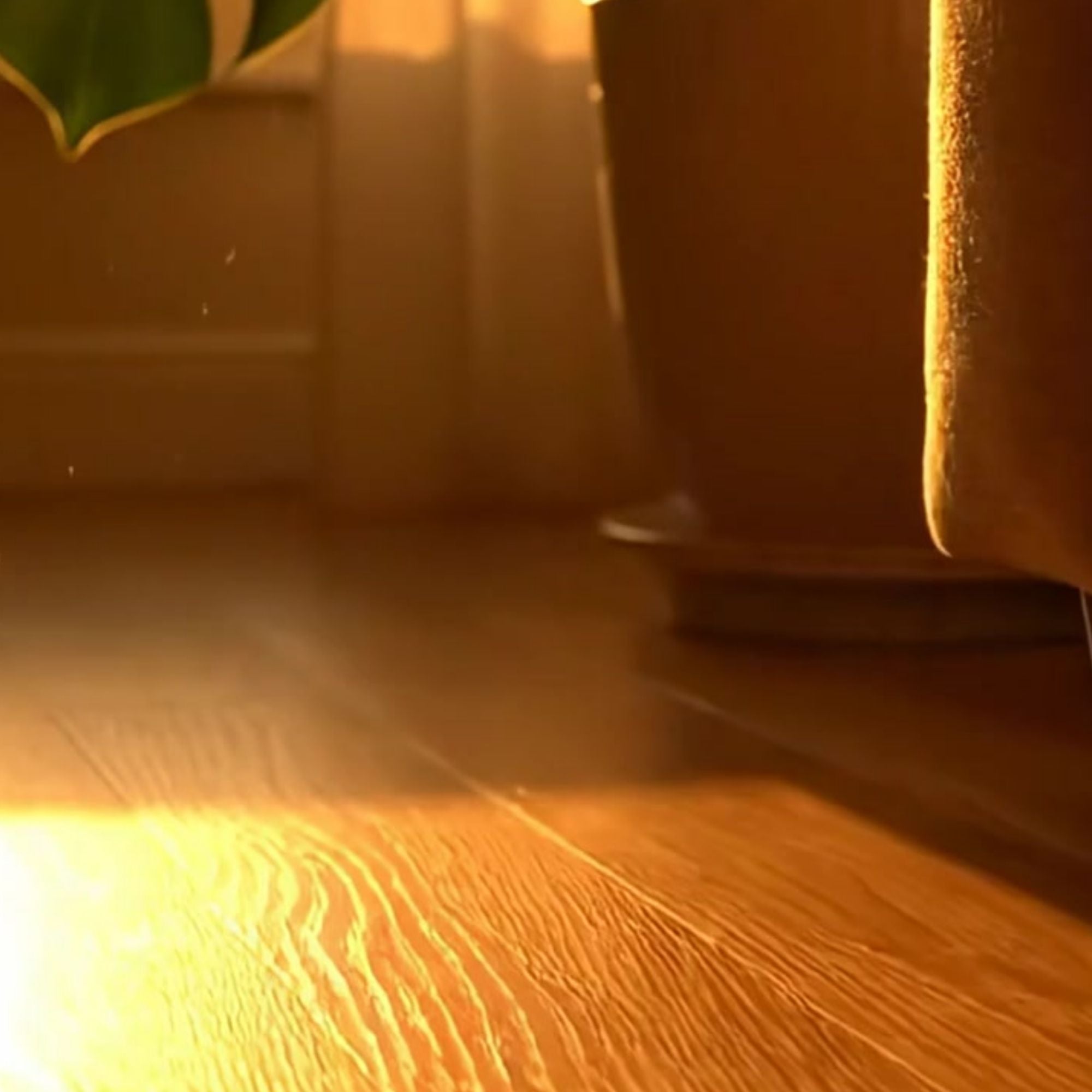 Golden Hour