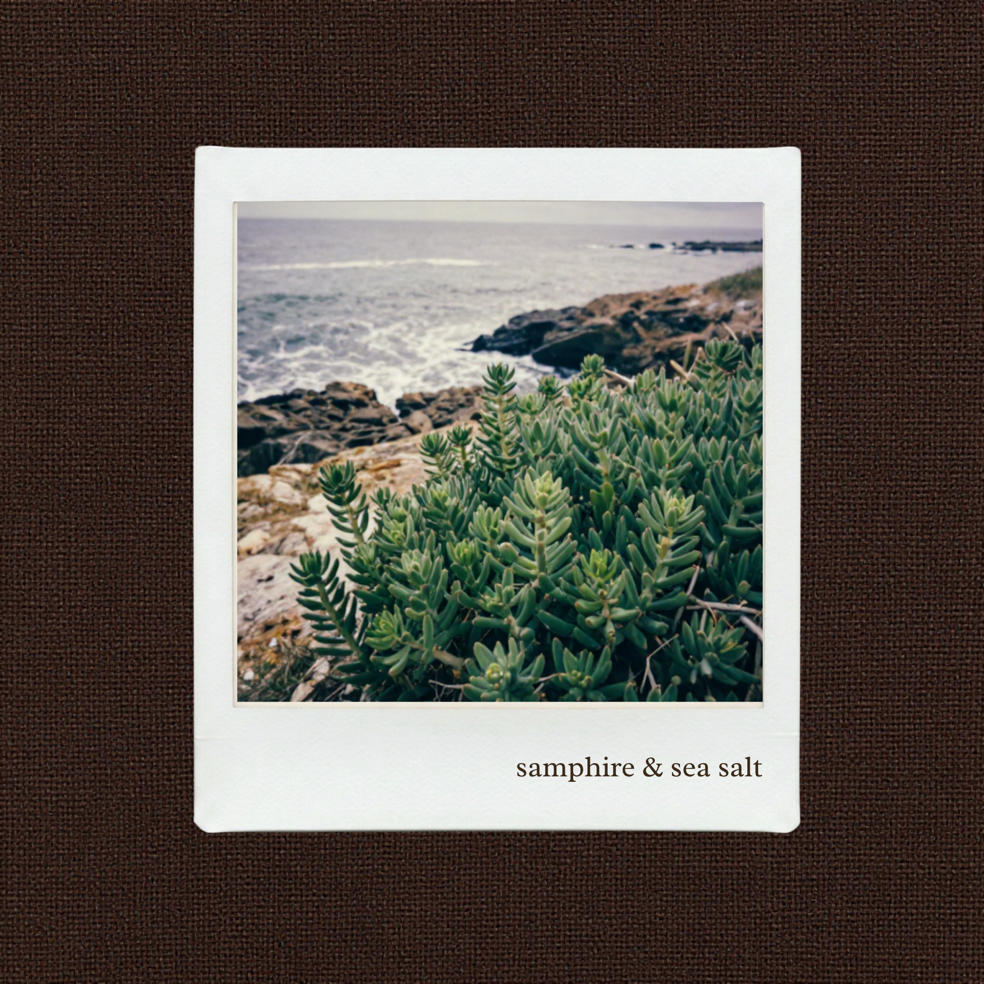 samphire & sea salt candle
