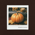 pumpkin & nutmeg soy wax travel candle