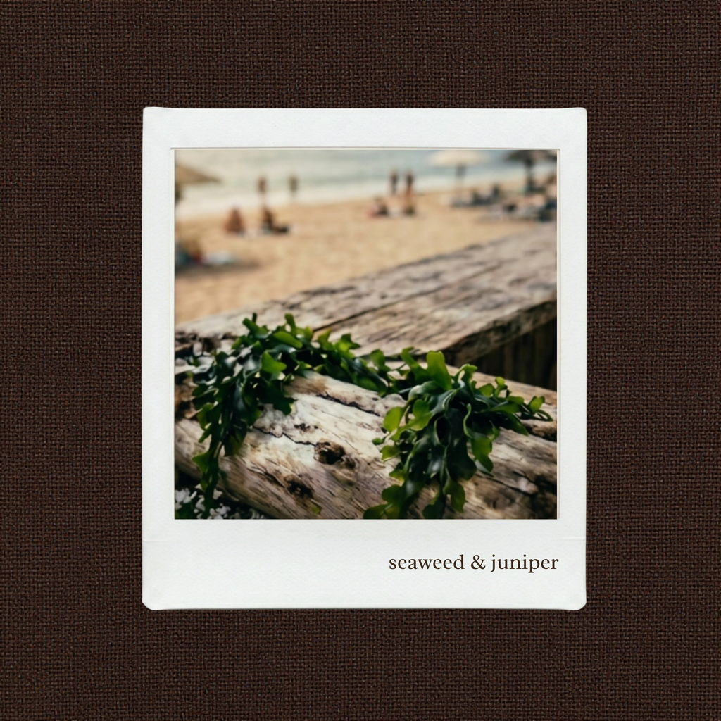 seaweed & juniper soy wax travel candle