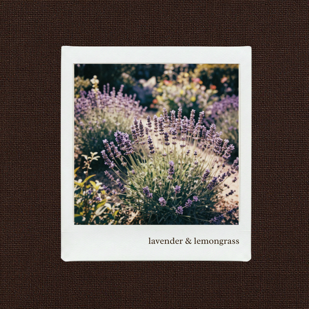 lavender & lemongrass wax melts