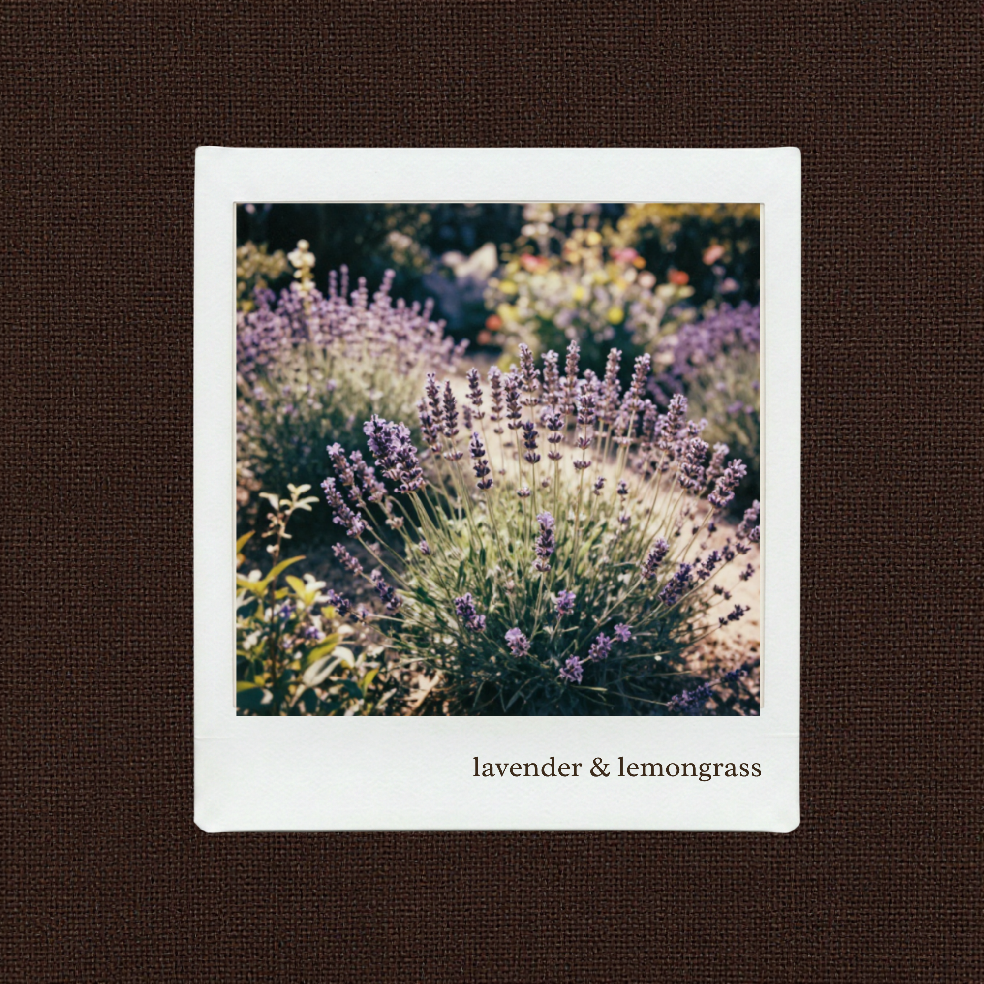 lavender & lemongrass candle