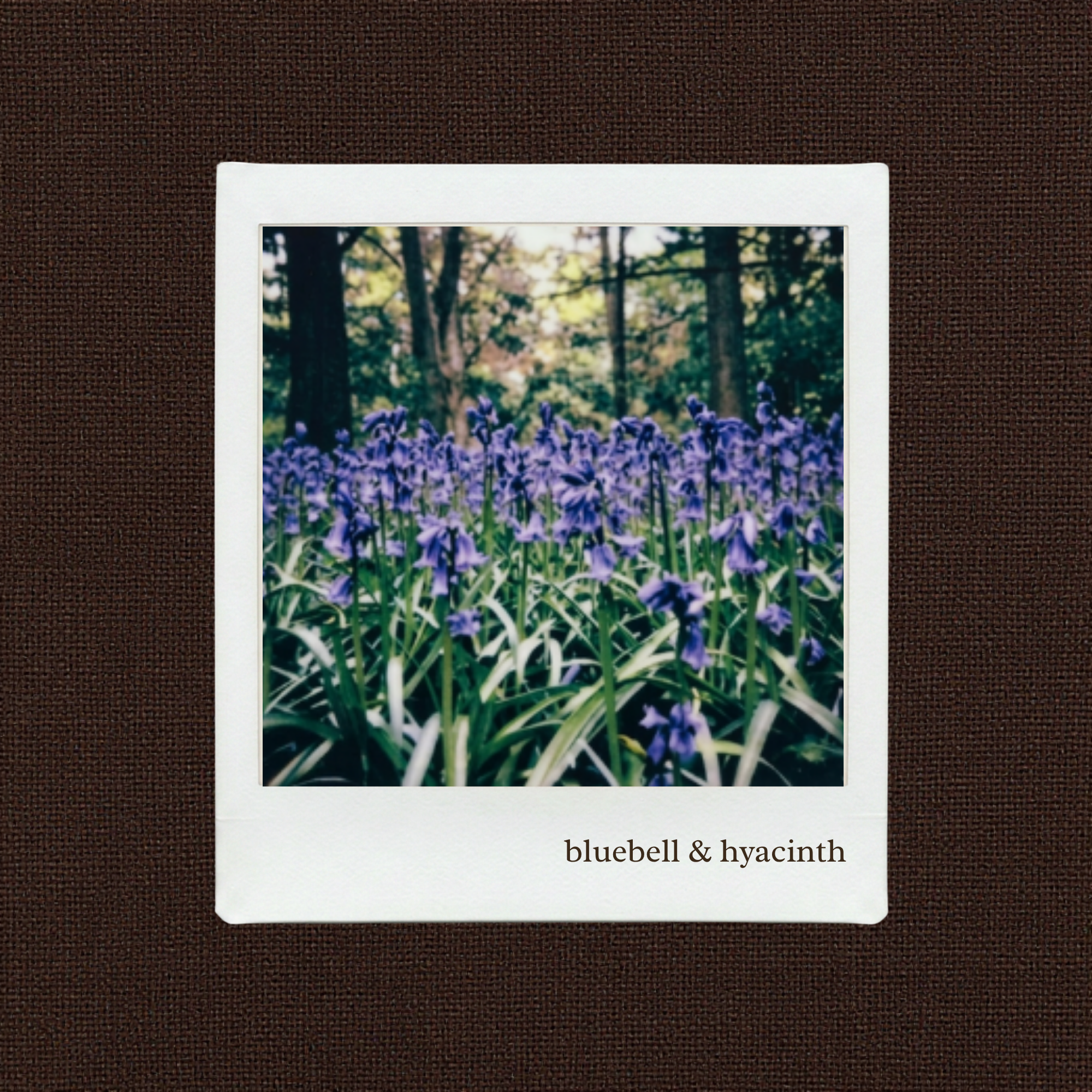 bluebell & hyacinth candle