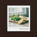 spearmint & ginger wax melts