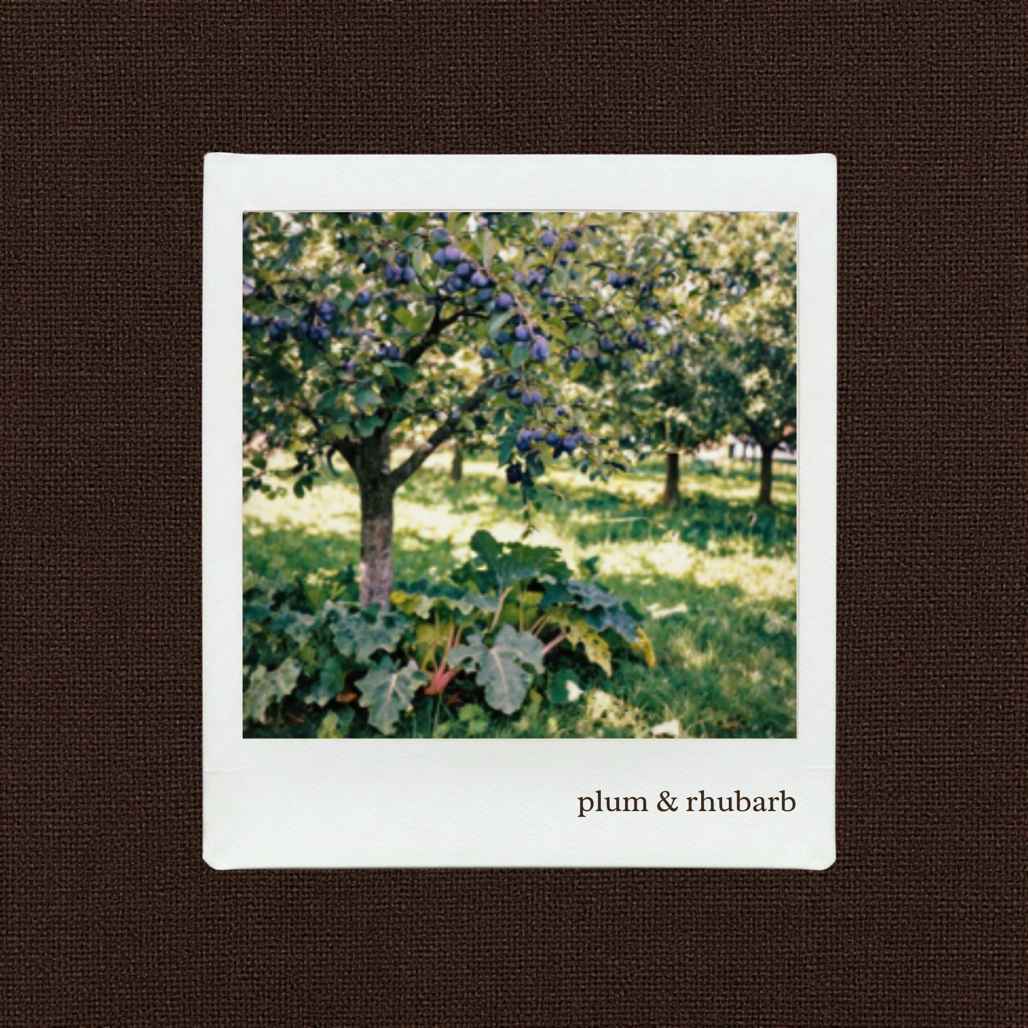 plum & rhubarb candle