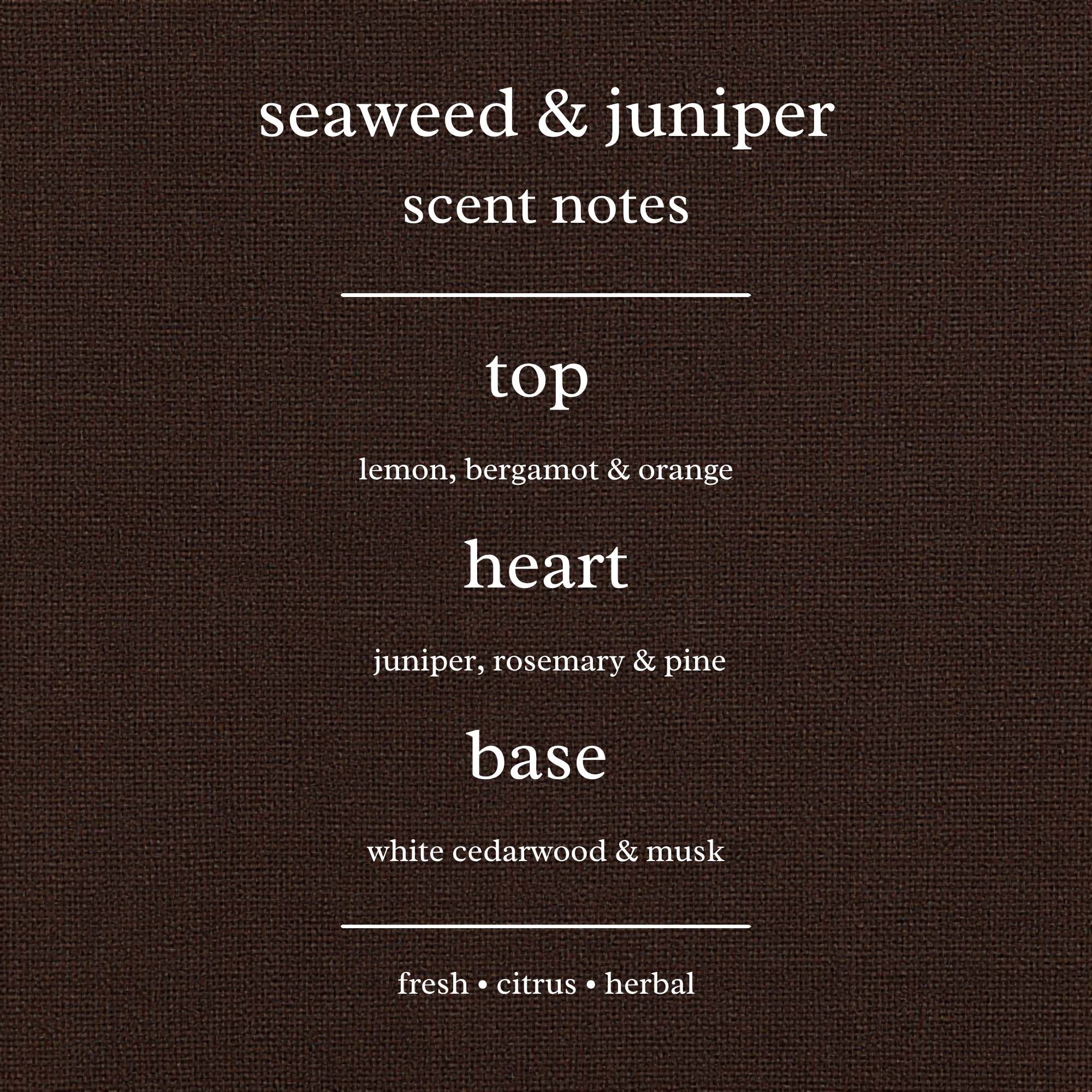 Scent Notes For Seaweed & Juniper Candles & Wax Melts